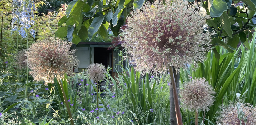 Garten